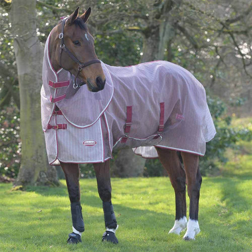 WeatherBeeta ComFiTec Ripshield Plus With Belly Wrap Detach-A-Neck Fly Sheet (No Fill) in White with Burgundy - Horse in Field