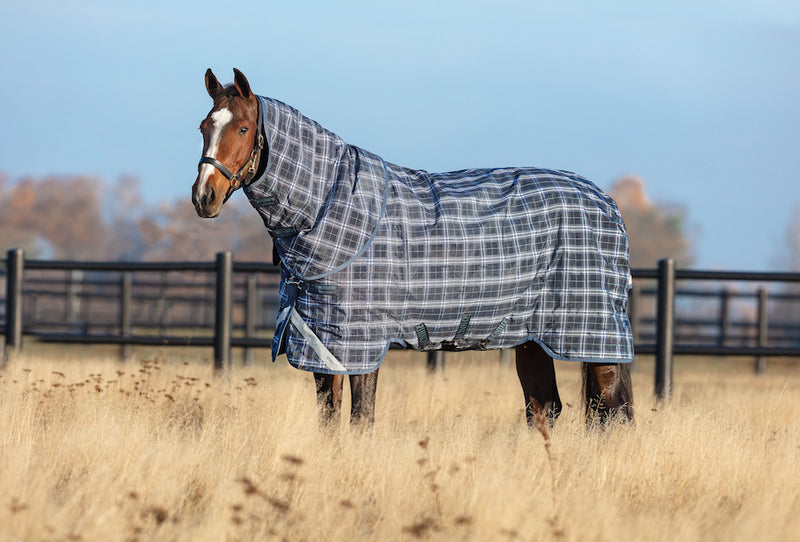 Rhino Plus Turnout Sheet (0g Lite) - Navy with Indigo Check