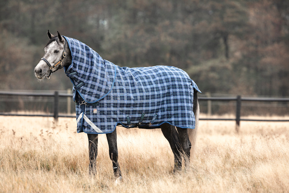 Rhino Plus VariLayer Turnout Blanket (450g Heavy, 250g Hood
