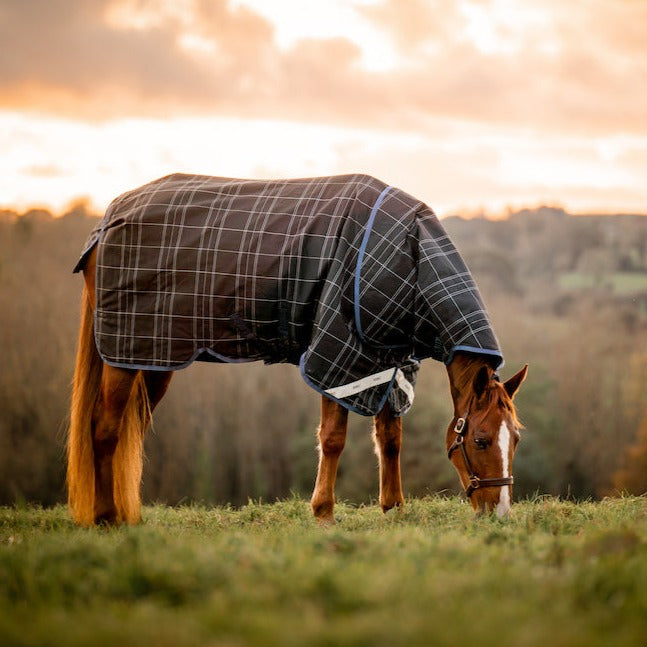 Rhino Plus Reflectech VariLayer Turnout Blanket (250g Medium, 150g Ho
