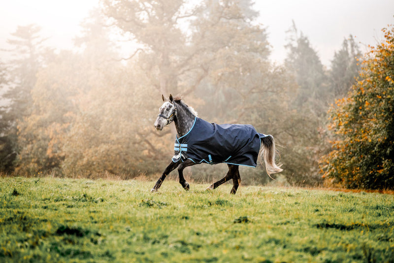 Amigo Bravo 12 Original Turnout (100g Medium-Lite) - Navy with Aqua Trim