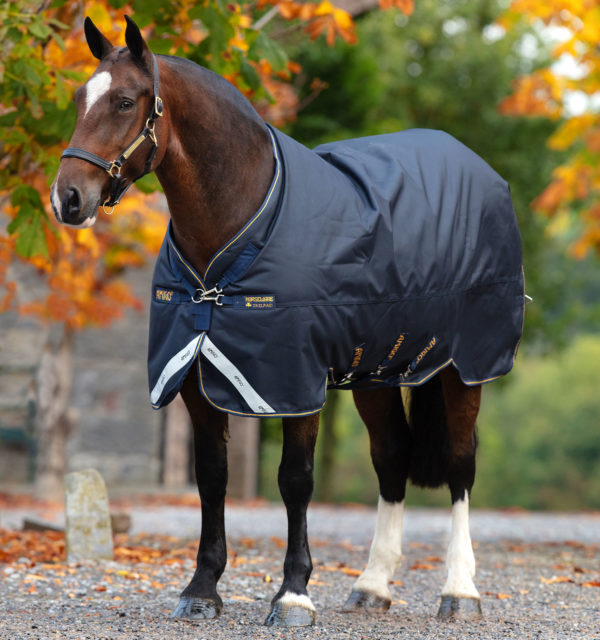 Amigo Bravo 12 XL Original Turnout Blanket (250g Medium)