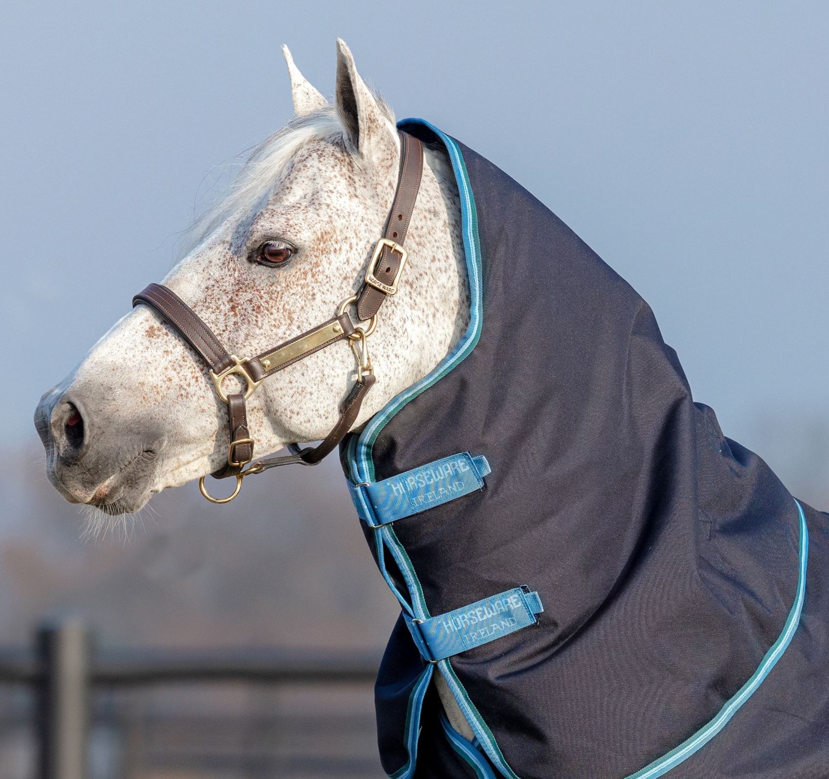 All — Performance Horse Blankets