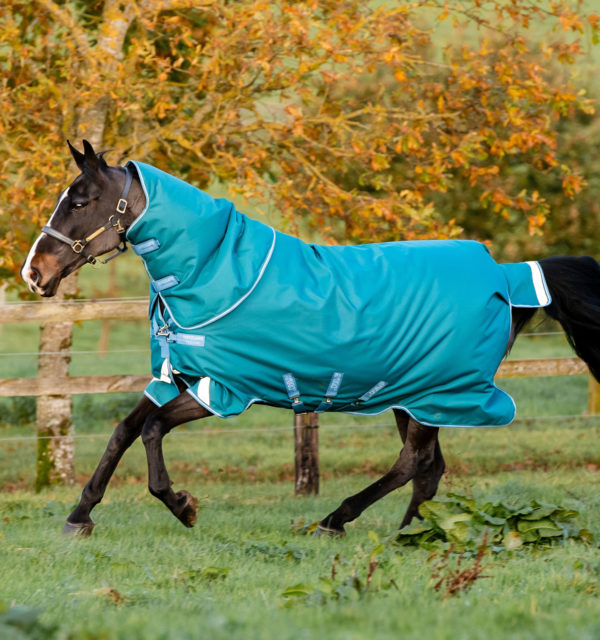 Amigo Bravo 12 Plus Turnout Blanket (400g Heavy, 250g Hood) — Performance Horse Blankets