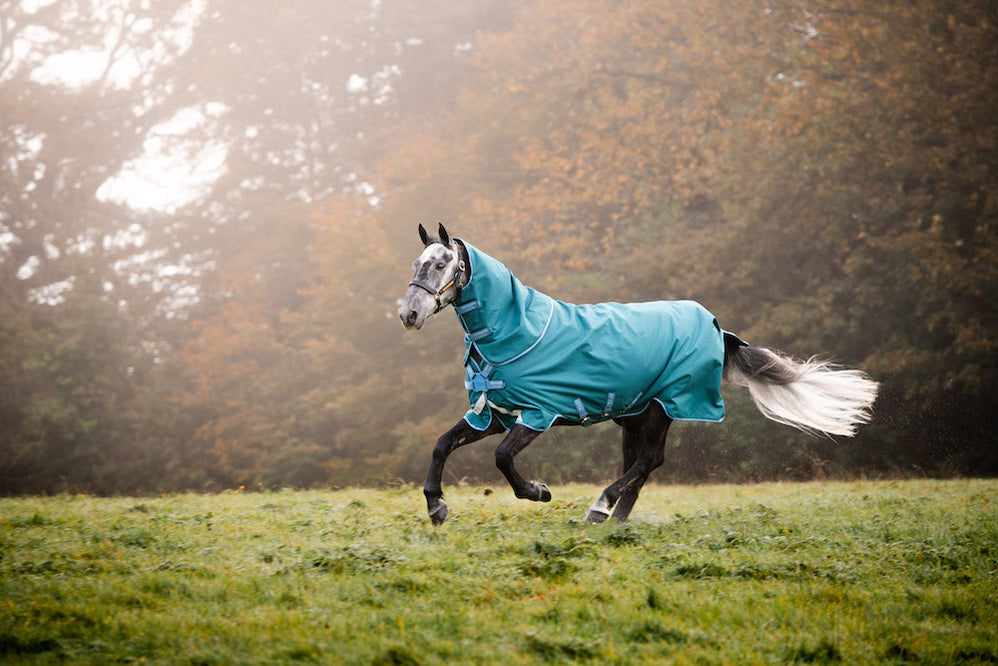 All — Performance Horse Blankets