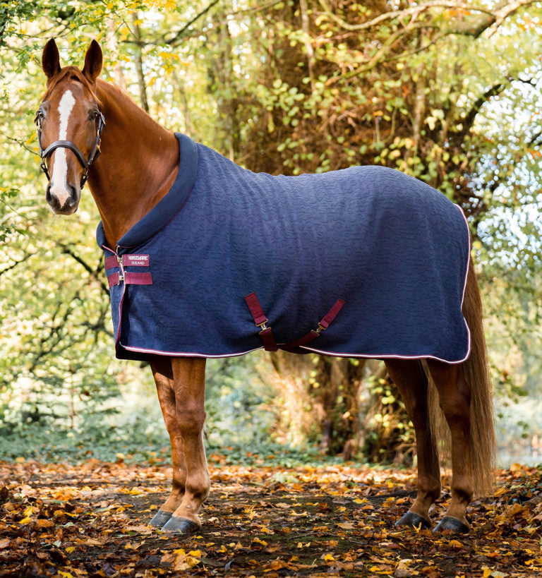 Horse Cooler 101 Everything You Need to Know About Keeping Your Horse Comfortable The Horse