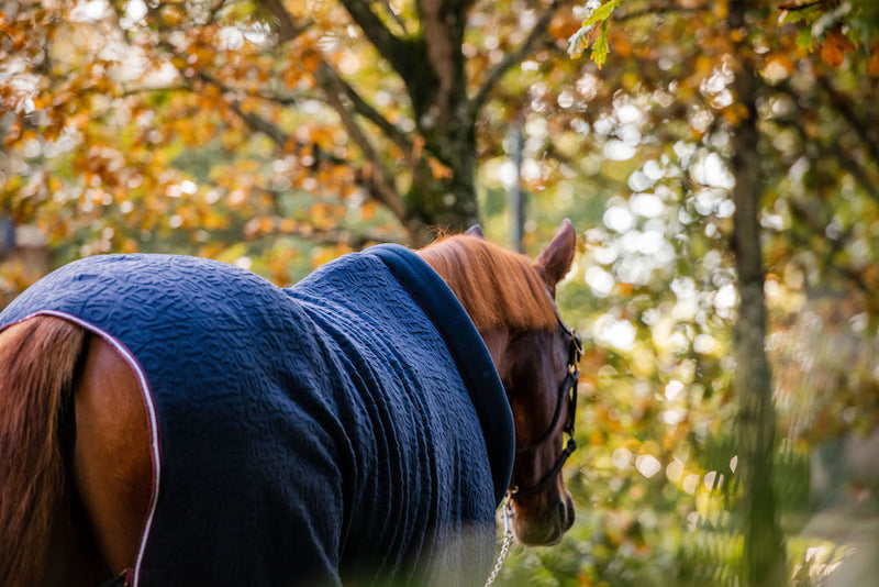 Horseware Cozy Neck Fleece Cooler (No fill, Embossed) - Navy Horseware Print with Burgundy and White Trim