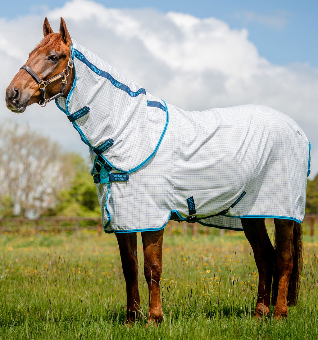 All — Performance Horse Blankets
