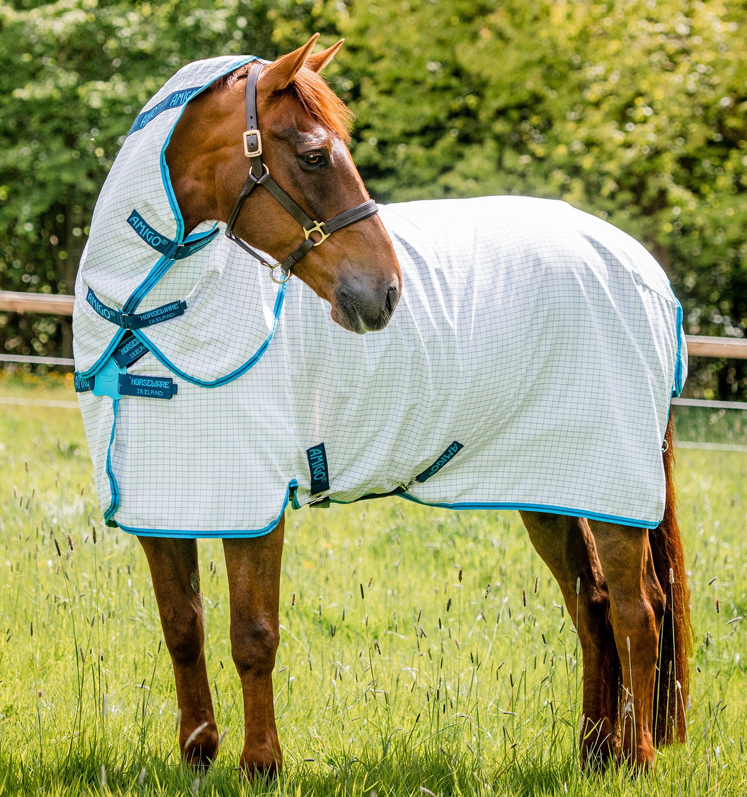 All — Performance Horse Blankets