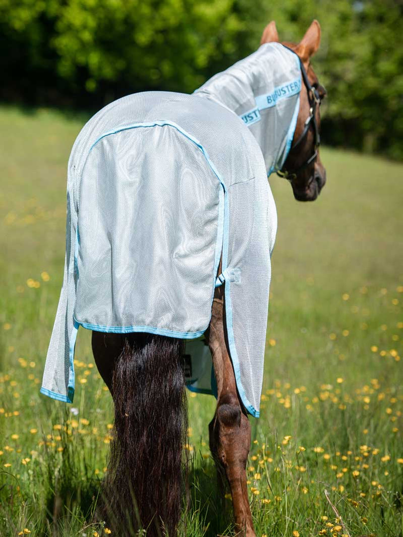 All — Performance Horse Blankets