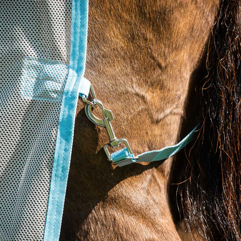 Amigo AmEco Bug Buster Fly Sheet  Tail Cord