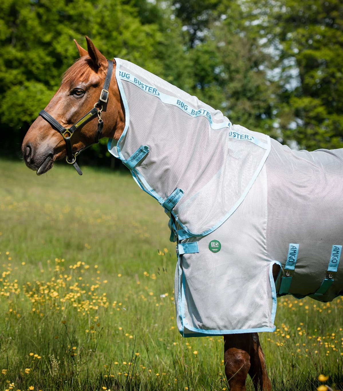 All — Performance Horse Blankets