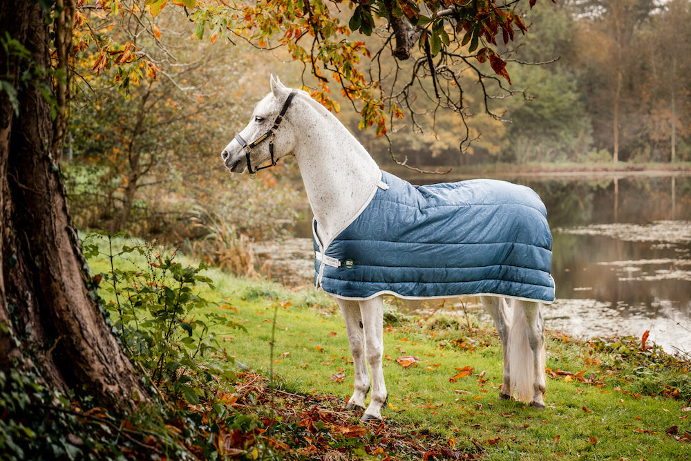 Horseware AmECO Liner (300g Heavy) — Performance Horse Blankets