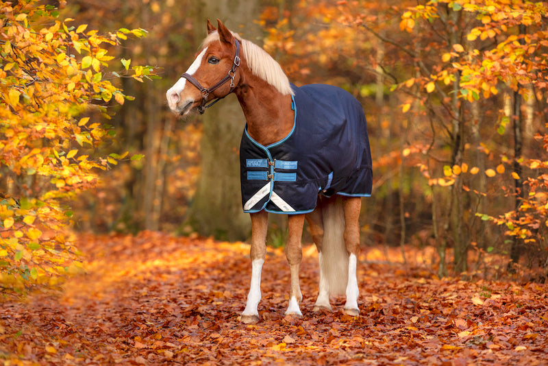Amigo Bravo 12 Original Pony Turnout (250g Medium) - Navy with Turquoise, Aqua and Blue Trim