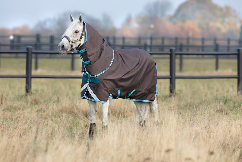 All — Performance Horse Blankets