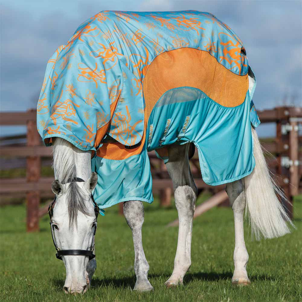 All — Performance Horse Blankets