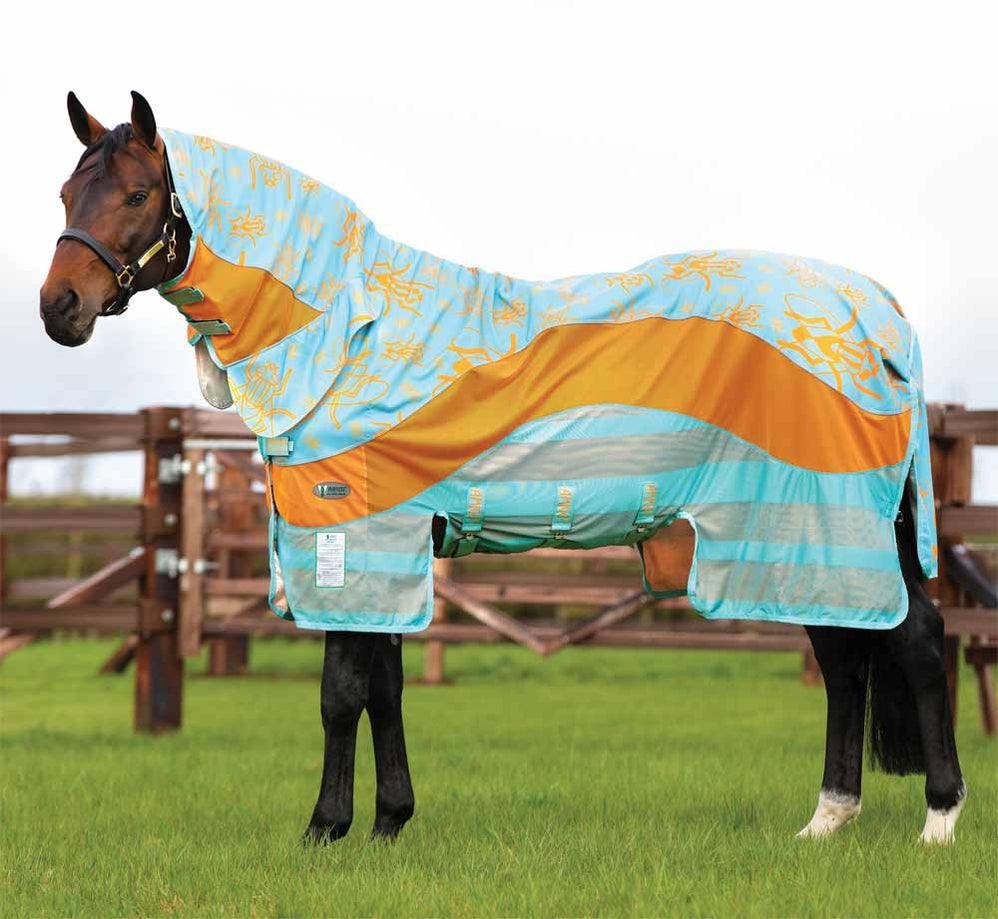 All — Performance Horse Blankets