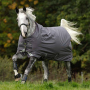 Amigo Bravo 12 Original Lite Turnout sheet in Excalibur