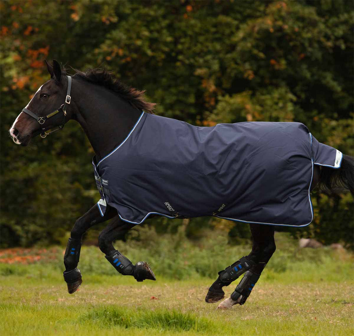 All — Performance Horse Blankets