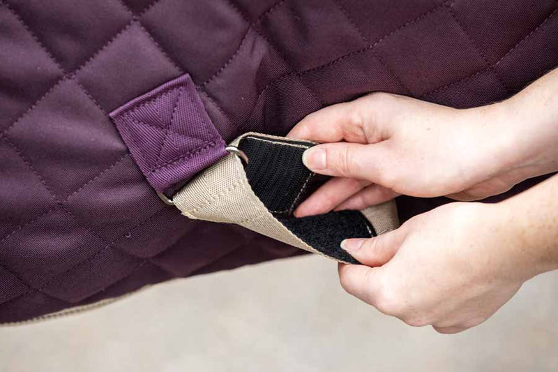 Amigo Plus Disc Front Stable Rug Surcingles