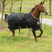 Amigo Stock Horse Lite Turnout Sheet