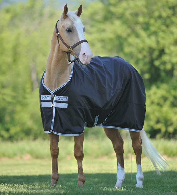 Amigo Stock Horse Turnout Blanket (200g Medium) — Performance Horse