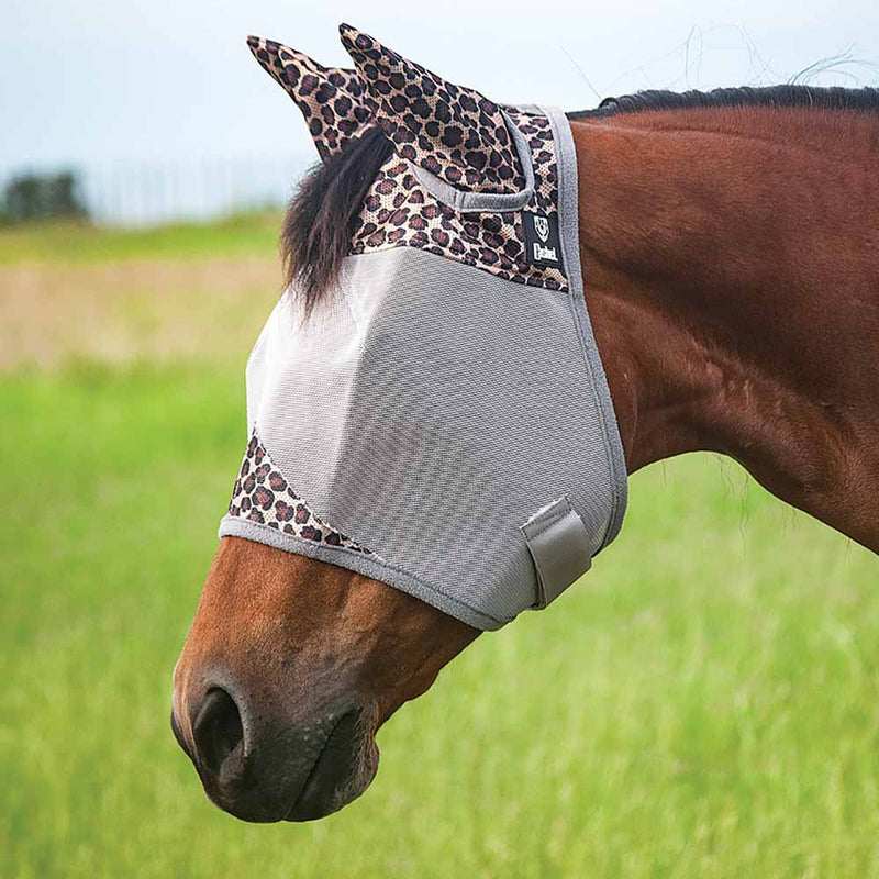Cashel Crusader Designer Fly Mask (Standard With Ears) in Leopard - Fly mask on horse