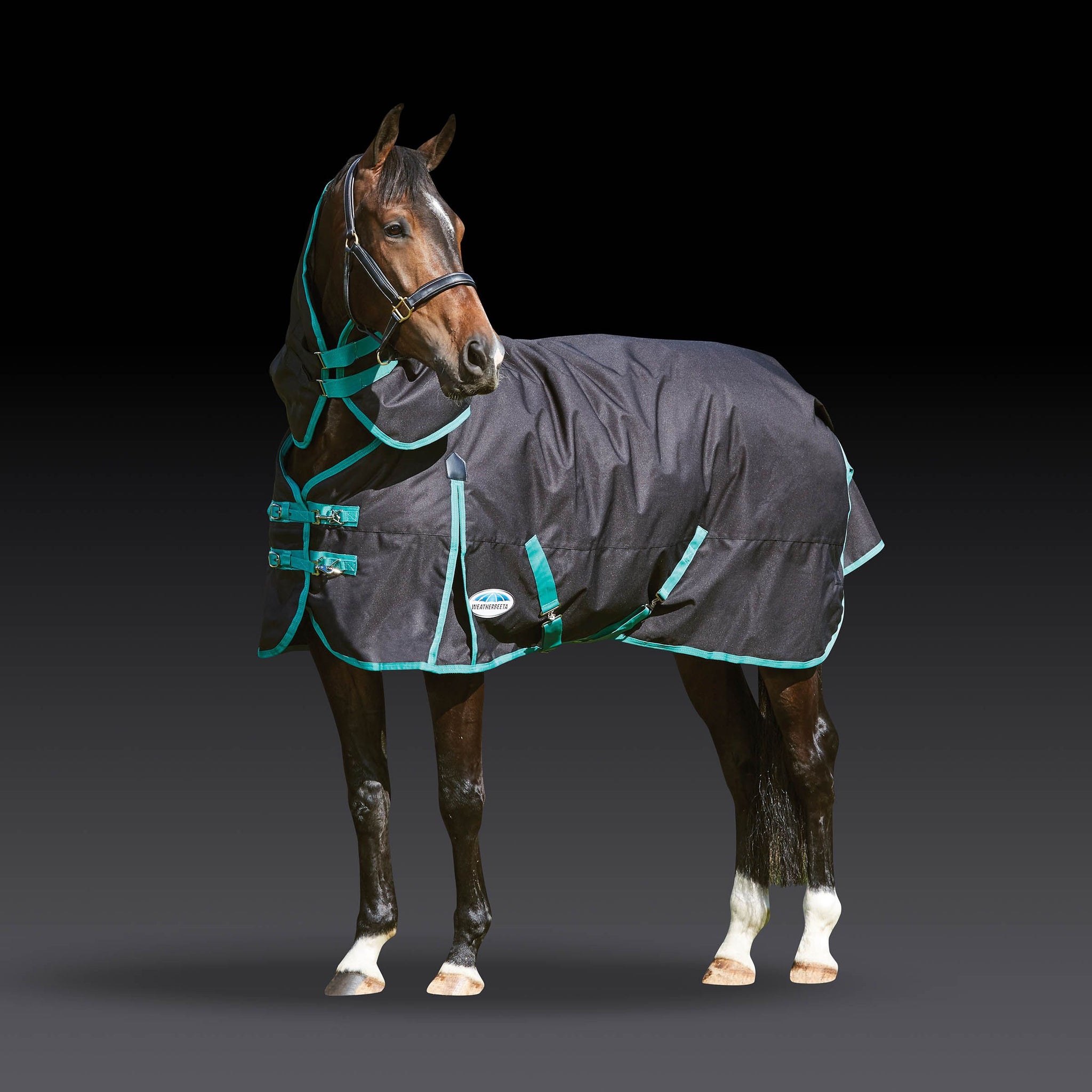 Turnouts Heavy (300g500g) — Performance Horse Blankets