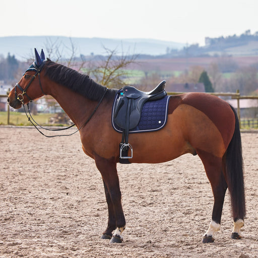 B Vertigo Zurich Dressage Saddle Pad