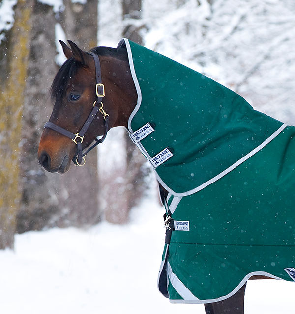 Rambo Original Turnout Hood (250g Medium) — Performance Horse Blankets