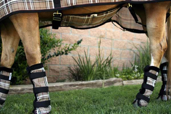 Kensington Protective Belly Band 121