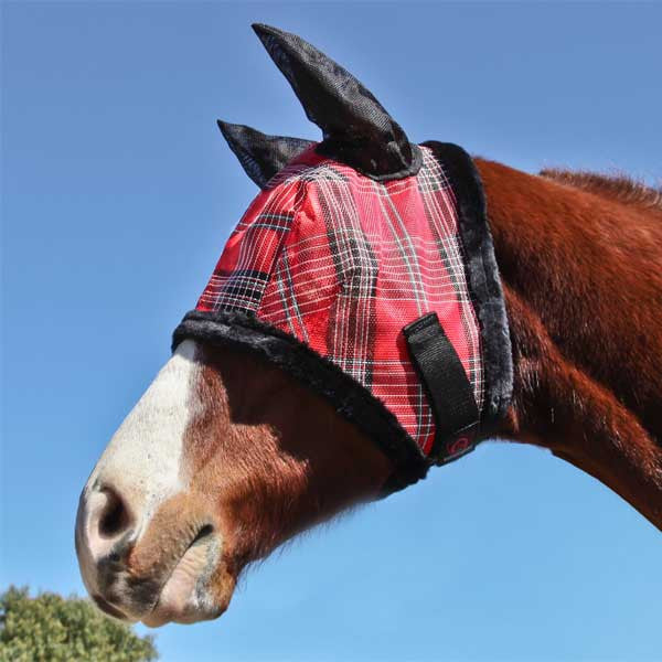 Fly Mask With Fleece Trim With | PHB — Performance Horse