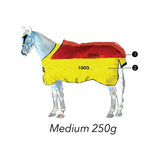 Horseware's 250g Vari-Layer Diagram