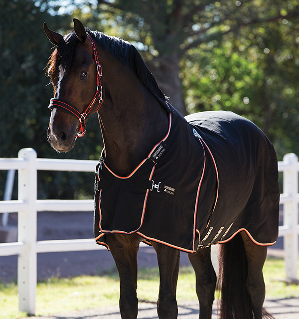 Rambo Optimo Stable Sheet (No Fill)