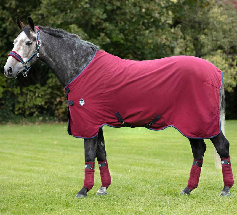 Rambo Helix with Disc Front Closure in Burgundy