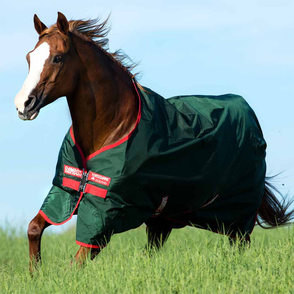 Rambo Horse Blankets — Performance Horse Blankets