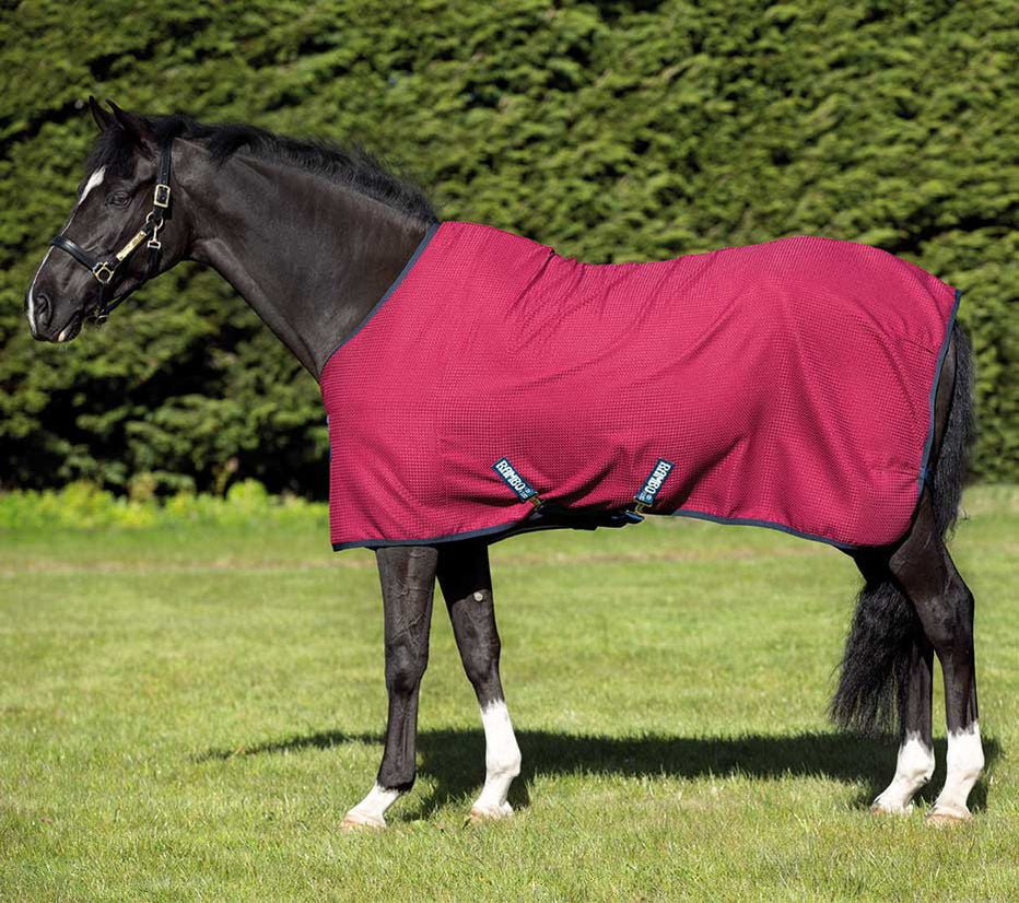Rambo Horse Blankets — Performance Horse Blankets