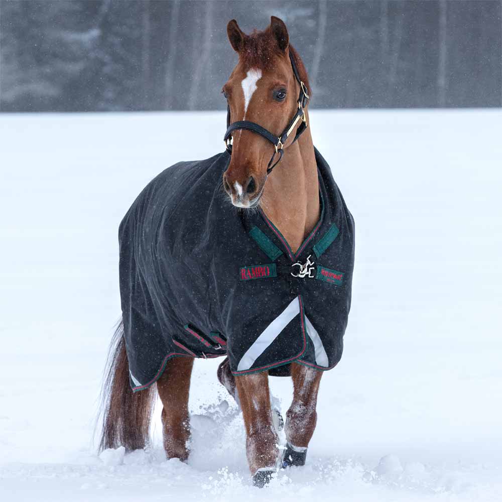 Rambo Wug Turnout Blanket (400g Heavy) — Performance Horse Blankets
