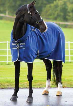 Rambo Cozy Horse Cooler