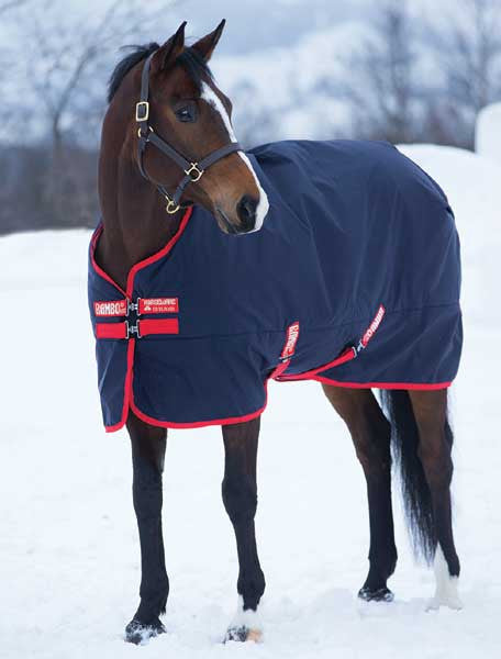 Rambo Original Medium Turnout Blanket