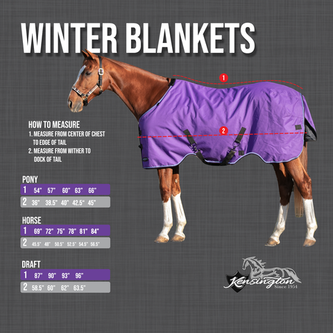 Kensington Pony Signature Turnout Blanket (80g Medium-Lite)