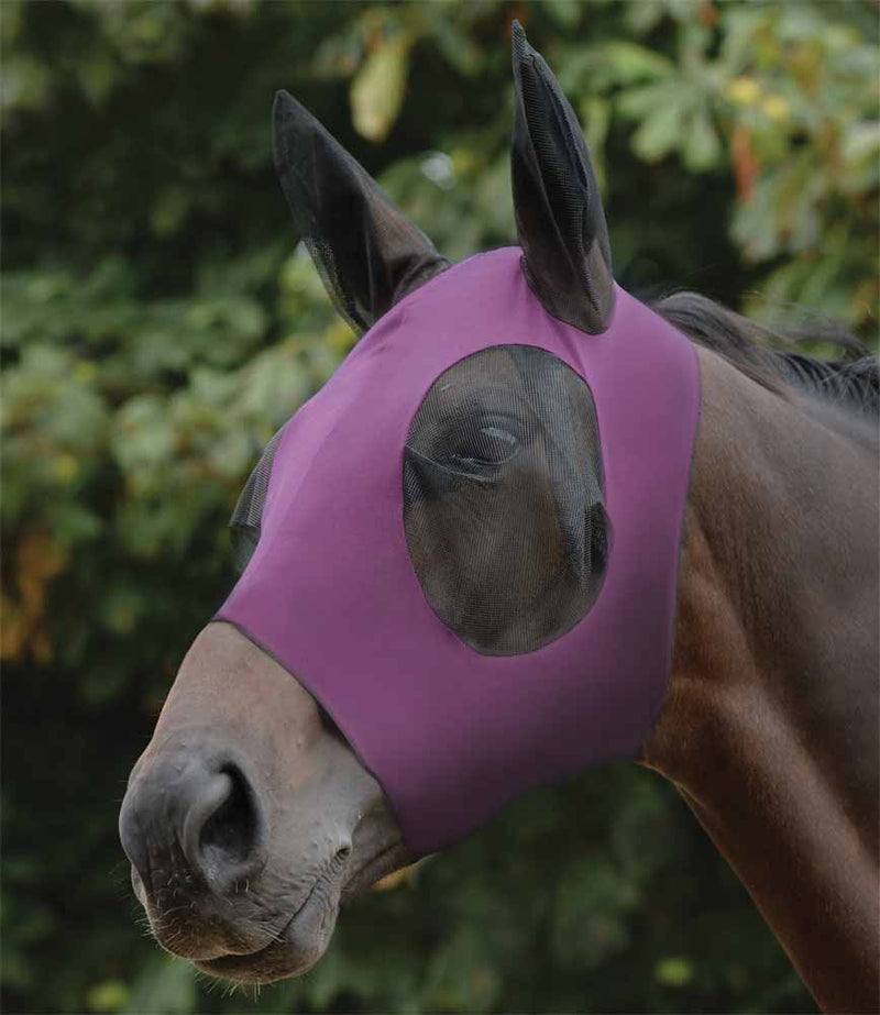 Weatherbeeta Stretch Bug Eye Saver With Ears - Purple with Black Trim